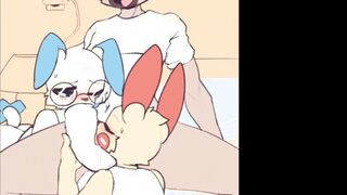 Minun & Plusle