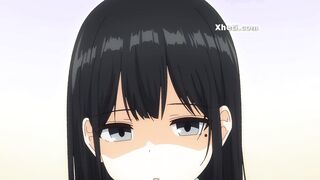 Anime Hentai, Animation porn