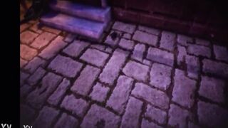 Translation of hentai into Russian
