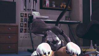 Furry Hentai - Point Of View Fox nekogirl mouth and then her pussy