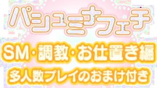 SADOMASOCHISM・調教・お仕置き総集編