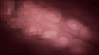 Kyonyuu Kazoku Saimin The Cartoon (60fps)