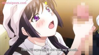H Na Ane Series The Animation 2 Subbed New Hentai Episode Video