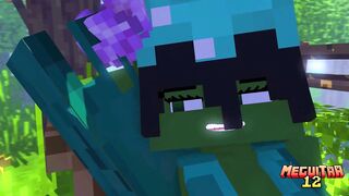 (Old Video) Meeting (Minecraft Porn)