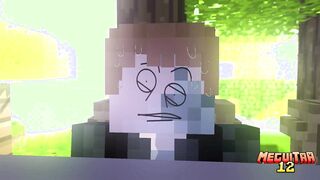 (Old Video) Meeting (Minecraft Porn)