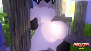 (Old Video) Meeting (Minecraft Porn)