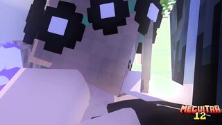 (Old Video) Meeting (Minecraft Porn)