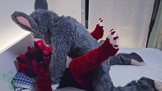 Furry bunny fucks a tiny hot female wolf (Murrsuit Porn)
