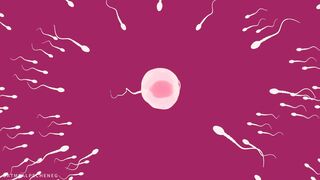 Hot Furry Girls orgy - animation for MarcusDaDog