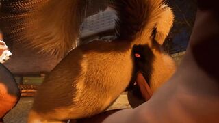 Alley Mugging - Wildlife Story