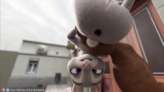 Judy Hopps compilation