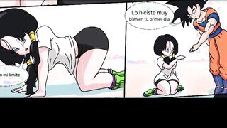 Dragon Ball Z: Goku and Videl fuck in the time chamber