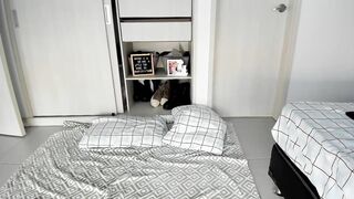 Young Stallion for Filming Porn with Horny Otaku