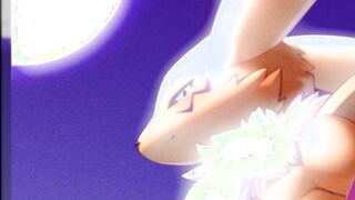 Furry Compilation - Straight