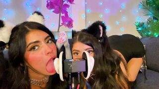 ASMR TWO Cats Flirt and Lick Your Ears with Eye Contact layered sounds - CorneliustheCat ASMR