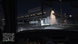 GTA 5 Hookers / 20 Minutes of banging video game hookers
