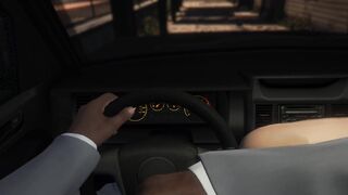 GTA 5 Hookers / 20 Minutes of banging video game hookers